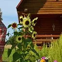 Загородный поселок &quot;Ромашка Family&quot; СК Всестрой