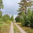 Загородный поселок &quot;Ромашка Family&quot; СК Всестрой