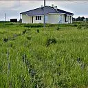 Загородный поселок &quot;Ромашка Family&quot; СК Всестрой