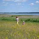 Загородный поселок &quot;Ромашка Family&quot; СК Всестрой