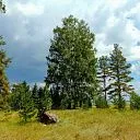 Загородный поселок &quot;Ромашка Family&quot; СК Всестрой