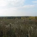 Дачный поселок «Теренкуль» СК Всестрой