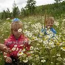 Загородный поселок &quot;Ромашка Family&quot; СК Всестрой