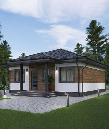 Альбатрос, каркасный дом, 80 м2